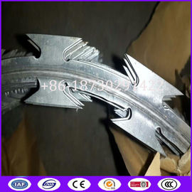 450mm, 600mm, 900mm, 960mm, 980mm Coil Diameter Fencing Concertina Wire Roll