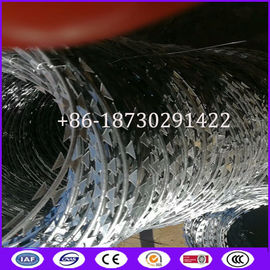 450mm, 600mm, 900mm, 960mm, 980mm Coil Diameter Fencing Concertina Wire Roll