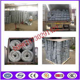 Hot Dipped Galvanized Babred Wire with best quality in Chinba