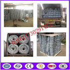 Galvanized Babred Wire with Best quality in Chinba
