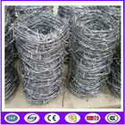 Double Twisted Hot Dipped Galvanized Babred Wire with best quality in Chinba