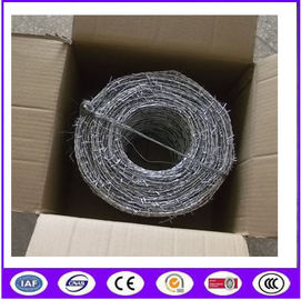 Hot Dipped Galvanized Double theftproof Barbed Wire