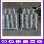 Hot Dipped Galvanized Double theftproof Barbed Wire