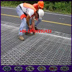 Road Mesh,Reinforced Hexagonal Wire Netting,Pavement Reinforcement Gabion