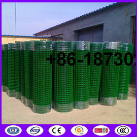 China ready stock 50 x50 mm euro fence mesh Pvc coating made in china