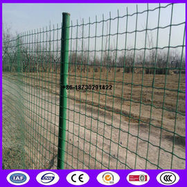 China ready stock 50 x50 mm euro fence mesh Pvc coating made in china