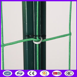 China ready stock 50 x50 mm euro fence mesh Pvc coating made in china