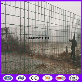 China ready stock 60x60 mm euro fence mesh Pvc coating made in china