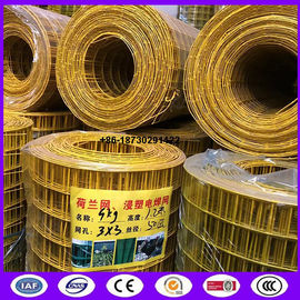 Yellow color PVC coating Holland wire mesh fence 30mmx30 mm Hole opening ​ in 1.2 meter height