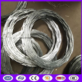 Cbt-65 450mm 50 Feet Length Galvanized Steel Razor Wire Ribbon for Military