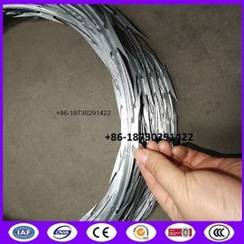 Cbt-65 450mm 50 Feet Length Galvanized Steel Razor Wire Ribbon for Military