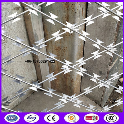 High security welded razor wire mesh with blade type BTO-22 for fence barrier in Prison made in China