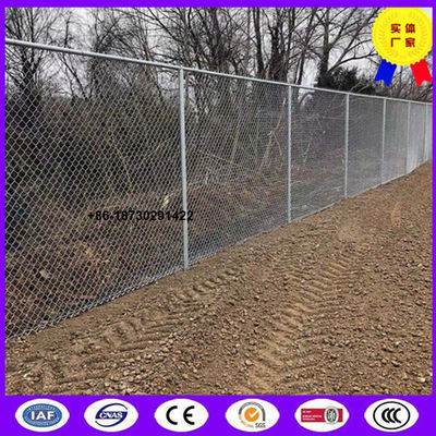 Hot dipped galvanized Privacy Diamond wire mesh fencing as  wall enclosing house with high security