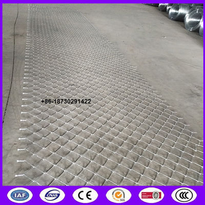 Hot dipped galvanized Privacy Diamond wire mesh fencing as  wall enclosing house with high security