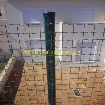 Holland Mesh Fence Green Garden Fencing Wire Mesh