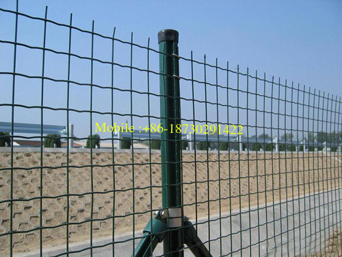 European Favorite Low Cost Highly Durable Euro Fence