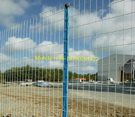 Highly Durable Holland Welded Wire Mesh pictures & photos Highly Durable Holland Welded Wire Mesh pictures & photos Hig