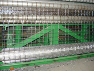 Holland Wire Mesh in Low Carbon Steel Wire PVC Coated