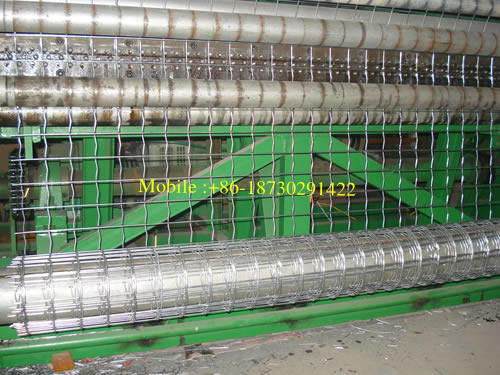 Holland Wire Mesh in Low Carbon Steel Wire PVC Coated