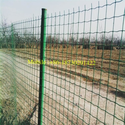 Holland Wire Mesh in Low Carbon Steel Wire PVC Coated