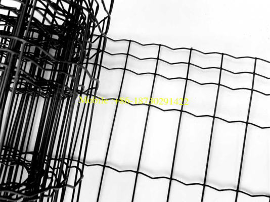 Holland Welded Wire Mesh for Factory Fencing