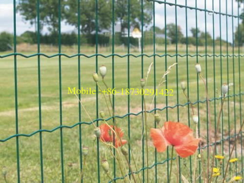 Garden Green Holland PVC Coated Fence Wire Mesh Cheap Price