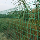 Garden Green Holland PVC Coated Fence Wire Mesh Cheap Price