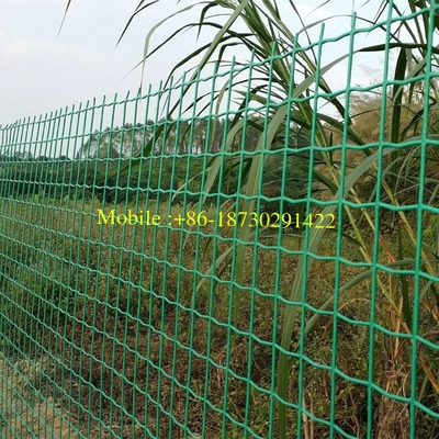 Garden Green Holland PVC Coated Fence Wire Mesh Cheap Price