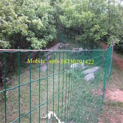 Welded Galvanized PVC Coated Fence Garden Fence