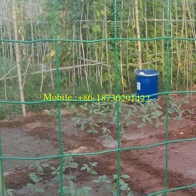 Anti Corrosion Garden Wire Mesh PVC Coated