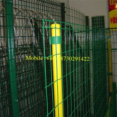 100 X 50 mm Green Plastic Coated Holland Garden Wire Mesh