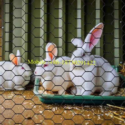 PVC Coated, Chicken Wire Netting for Animals Pet Wire Mesh