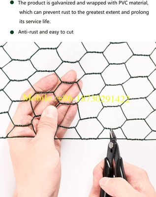 20mmx20mm PVC Coated Hexagonal Chicken Wire Mesh