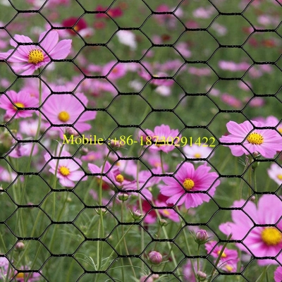 PVC Coated Hexagonal Wire Netting / Chicken Wire Mesh