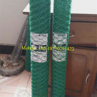 20mmx20mm PVC Coated Hexagonal Chicken Wire Mesh