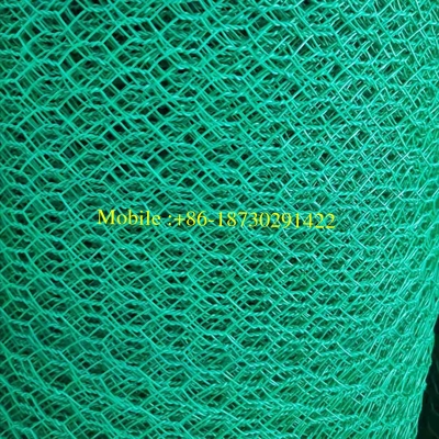 30mmx30mm PVC Coated Hexagonal Chicken Wire Mesh