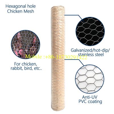 25mmx25mm Hexagonal Chicken Wire Mesh