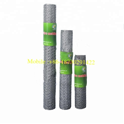 Hot Dipped Gal Chicken Wire Mesh Hexagonal Wire