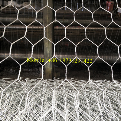 Hot Dipped Galvanized Hexagonal Wire Netting