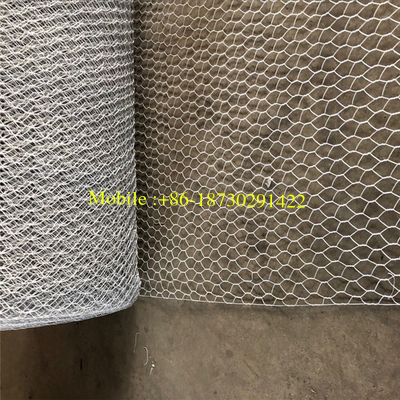 Hot Dipped Galvanized Hexagonal Wire Netting