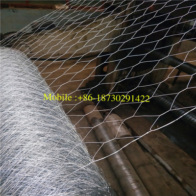 Electro Gavanized Before Weaving Hexagonal Wire Netting