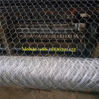 Electro Gavanized Before Weaving Hexagonal Wire Netting