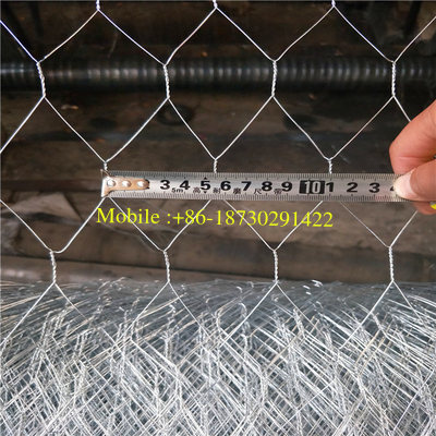 Electro Gavanized Before Weaving Hexagonal Wire Netting