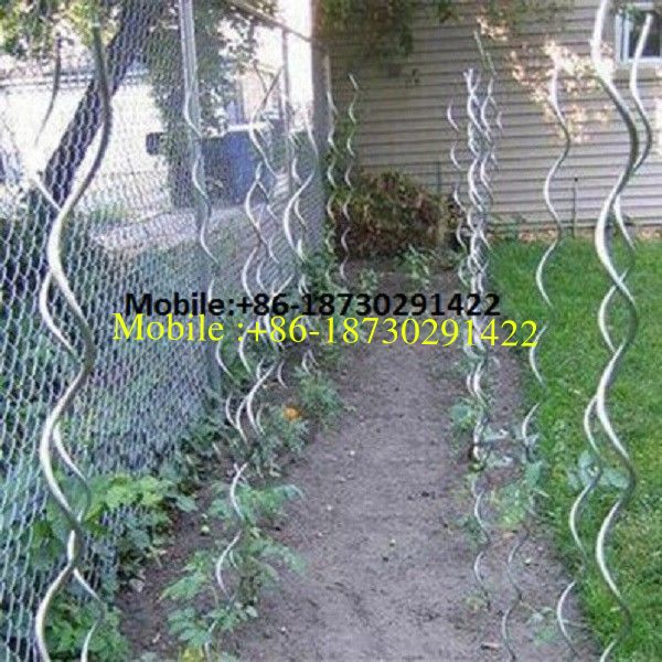 Factory Supply good price  Tomato Spiral Wire