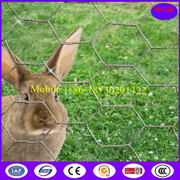 19 Gauge 36 inch x 100 foot x 2 inch Galvanized Chicken Wire Mesh Dingzhou