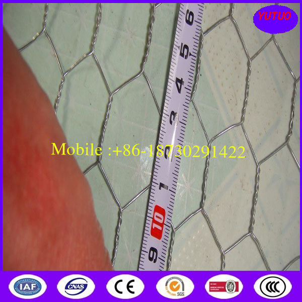 Chicken Wire Mesh for Poultry or Agricultural Using