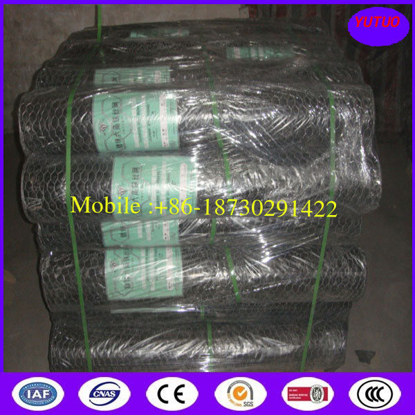 China Chicken wire factory with good price