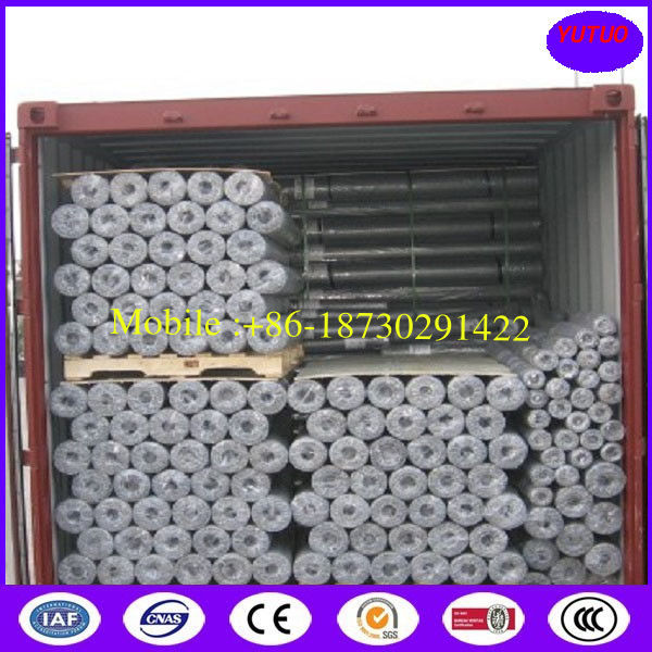 Plant Protection Hexagonal Wire Mesh