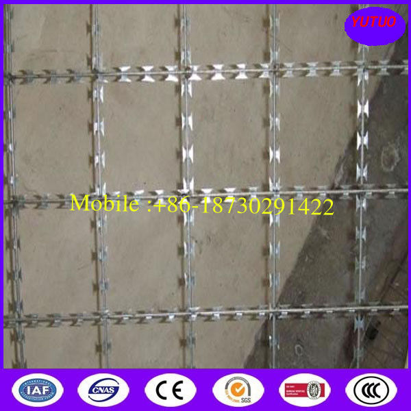 75X150mm/150X300mm Welded Razor Mesh Fence, Export to South Africa