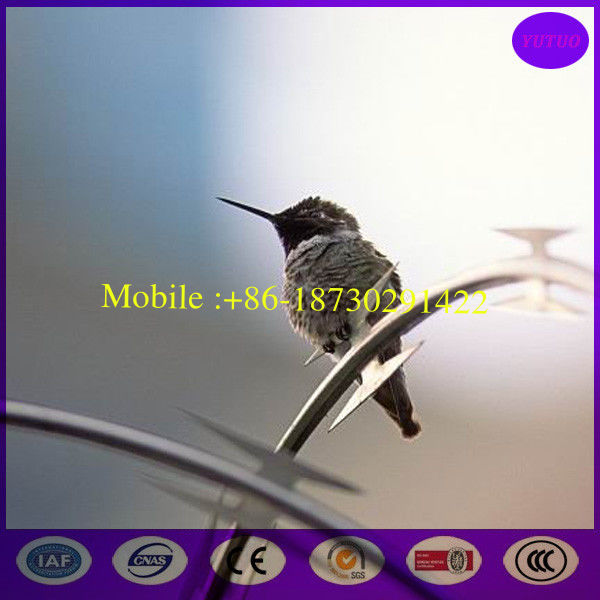 Sharp Concertina Razor barbed Wire For Egypt Market from China factory